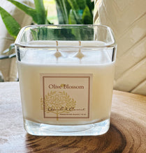 Load image into Gallery viewer, AVOCADO & COCONUT | CANDLE