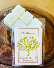 Load image into Gallery viewer, CHIPOTLE CARAMEL | BLOSSOM MELTS