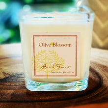 Load image into Gallery viewer, BIRCH FOREST | CANDLE