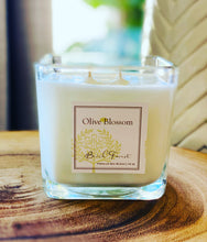 Load image into Gallery viewer, BIRCH FOREST | CANDLE