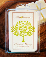 Load image into Gallery viewer, CHRISTMAS MORNING | BLOSSOM MELTS