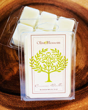 Load image into Gallery viewer, CINNAMON VANILLA | BLOSSOM MELTS