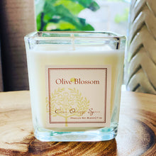 Load image into Gallery viewer, CRAN ORANGE SPICE | CANDLE