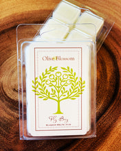 Load image into Gallery viewer, FLY BOY | BLOSSOM MELTS