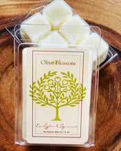 Load image into Gallery viewer, EUCALYPTUS & SPEARMINT | BLOSSOM MELTS