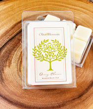 Load image into Gallery viewer, ORANGE BLOSSOM | BLOSSOM MELTS