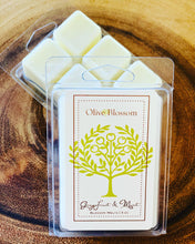 Load image into Gallery viewer, GRAPEFRUIT & MINT | BLOSSOM MELTS