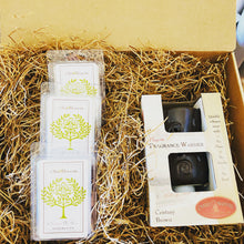 Load image into Gallery viewer, GIFT SET | WAX MELT LOVER WITH CENTURY BROWN PLUG IN