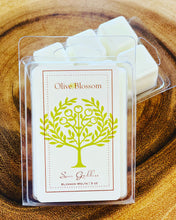 Load image into Gallery viewer, SUN GODDESS | BLOSSOM MELTS