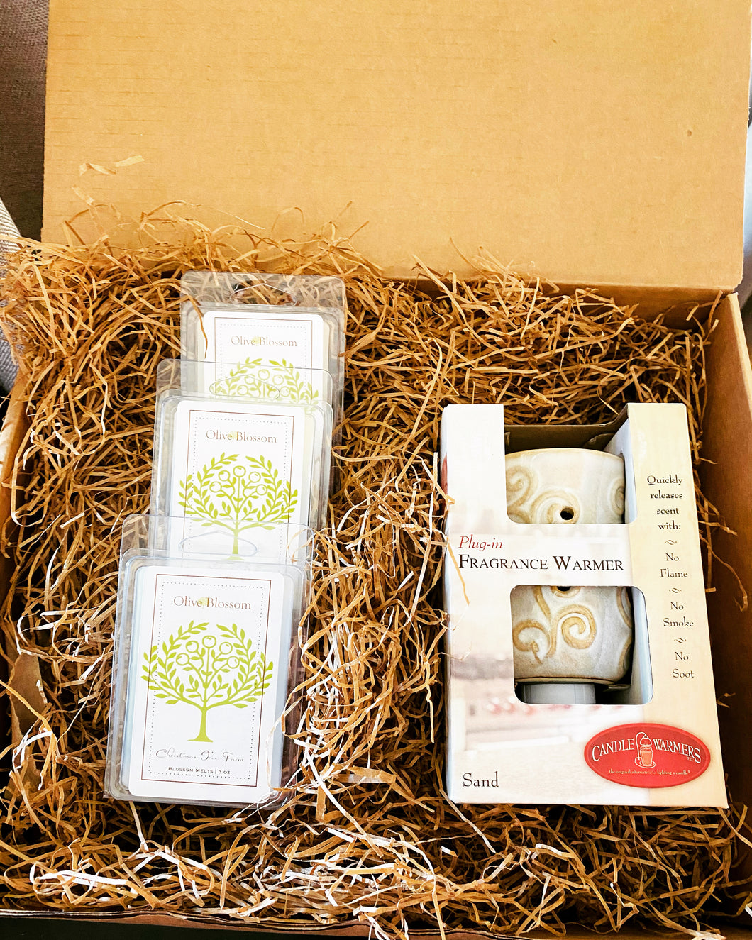 GIFT SET | WAX MELT LOVER WITH SAND PLUG IN